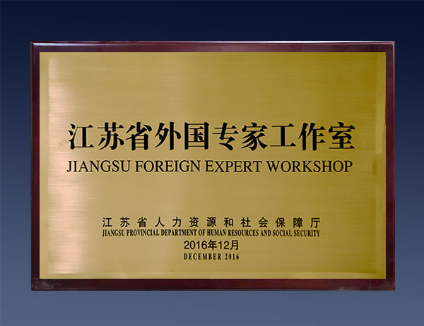 江苏省外国专家工作室